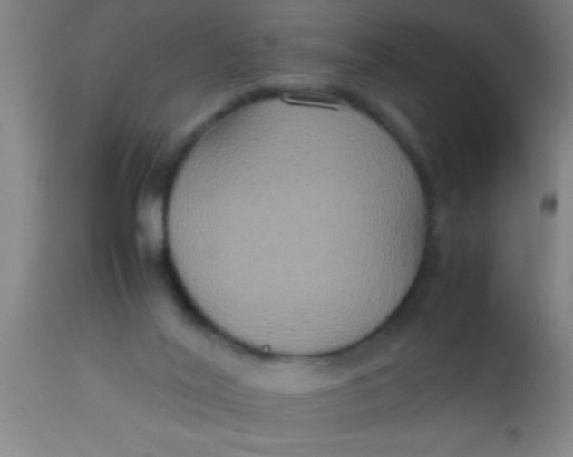 X0000112530020200909071409