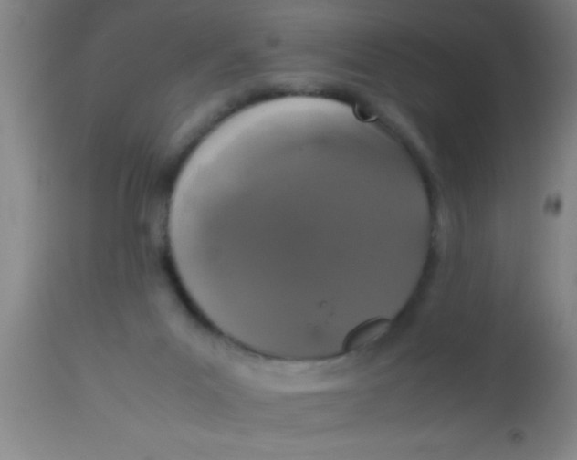 X0000112530023200909071409