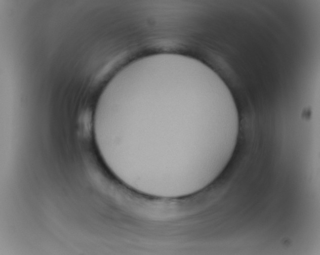 X0000112530024200909071409