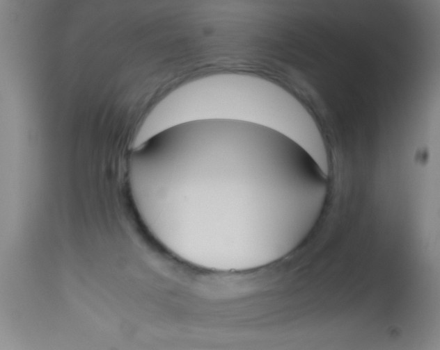 X0000112530025200909071409