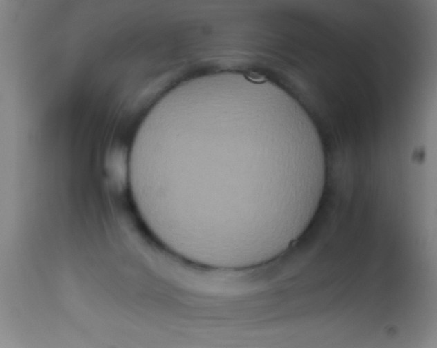 X0000112530028200909071409