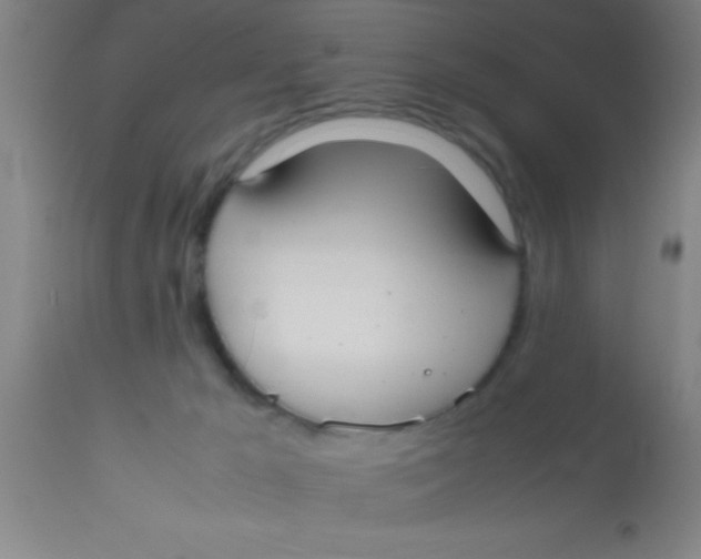 X0000112530029200909071409