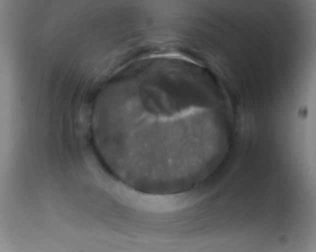 X0000112530030200909071409