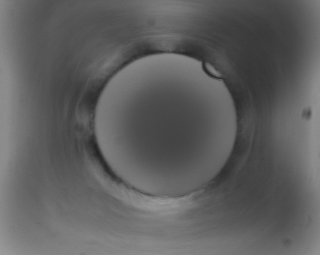 X0000112530031200909071409