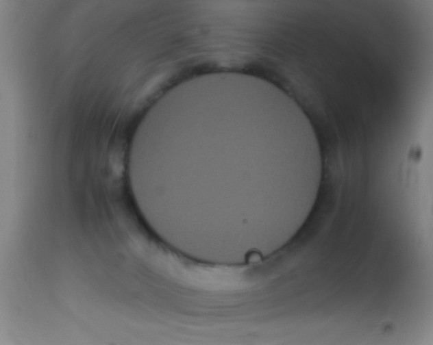 X0000112530032200909071409