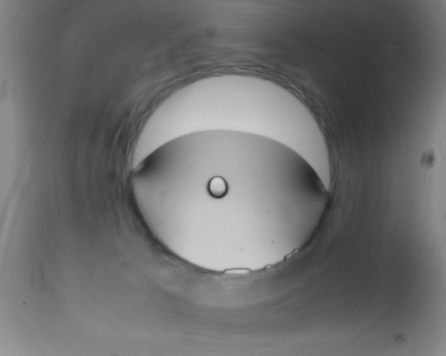 X0000112530033200909071409