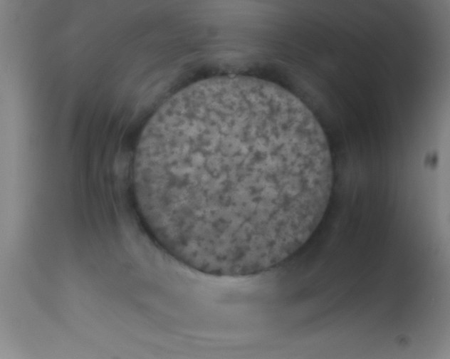 X0000112530034200909071409