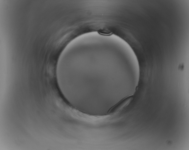 X0000112530035200909071409