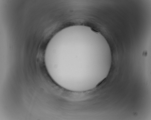 X0000112530037200909071408