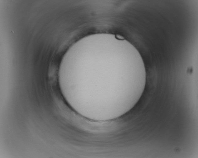 X0000112530038200909071408