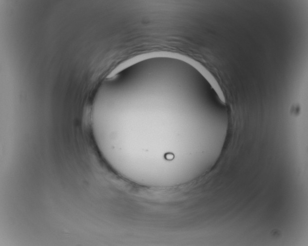 X0000112530041200909071408