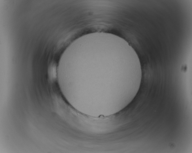 X0000112530042200909071408