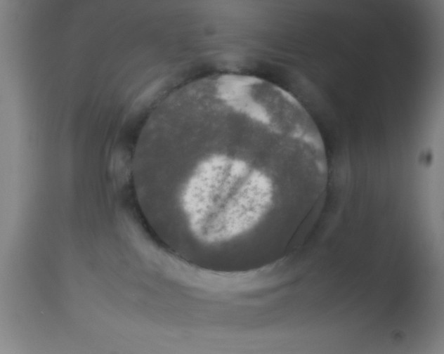 X0000112530043200909071408