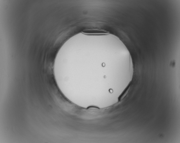 X0000112530045200909071408