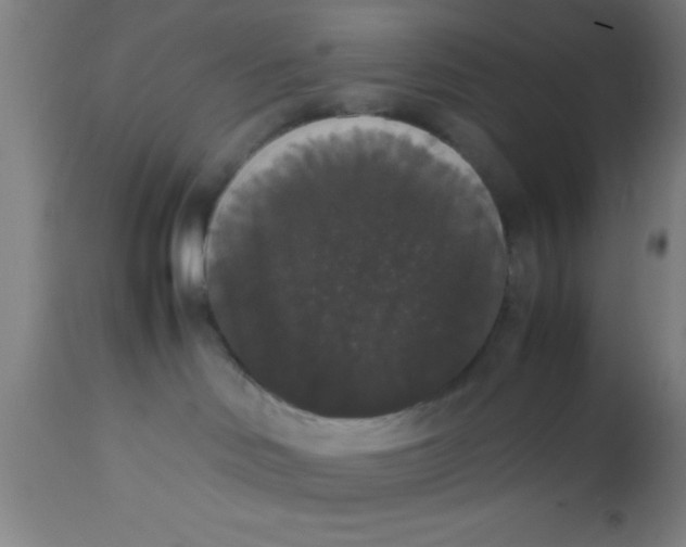 X0000112530046200909071408