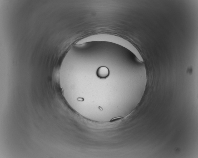 X0000112530047200909071408