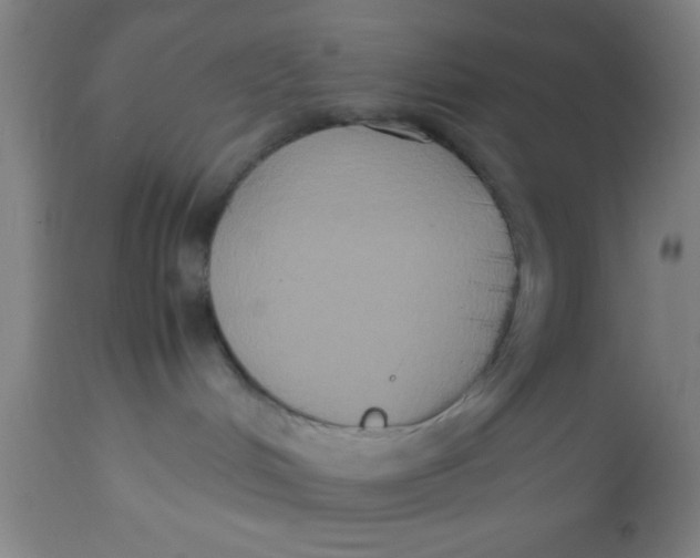 X0000112530048200909071408