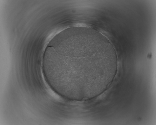 X0000112530049200909071408