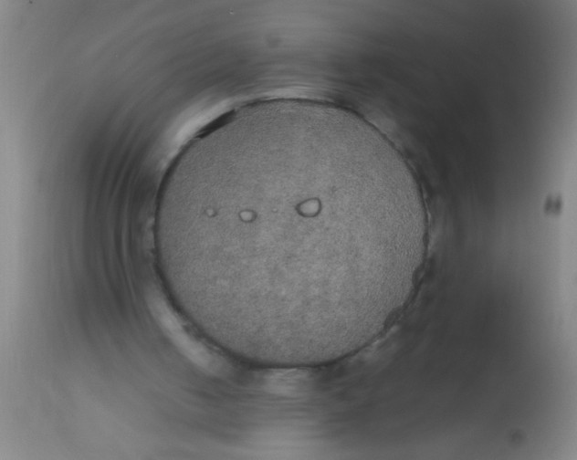 X0000112530050200909071408