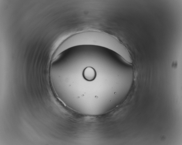 X0000112530052200909071408