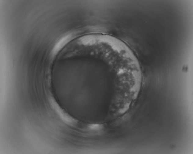 X0000112530053200909071408