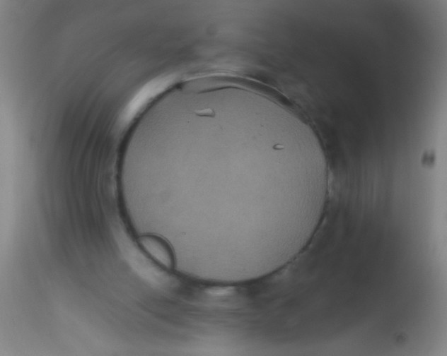 X0000112530054200909071408