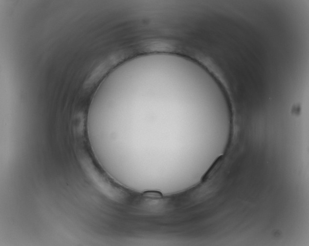 X0000112530057200909071408