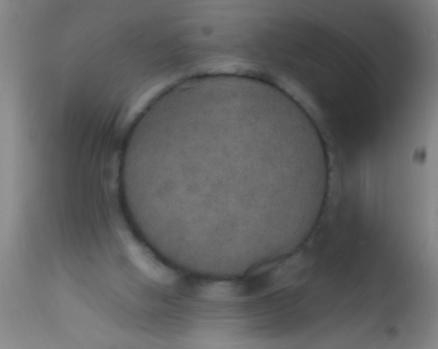 X0000112530058200909071408