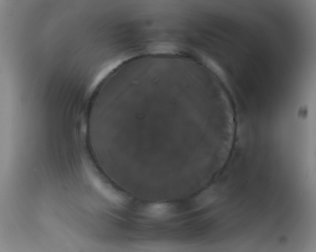 X0000112530059200909071408