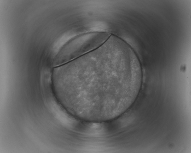 X0000112530060200909071408