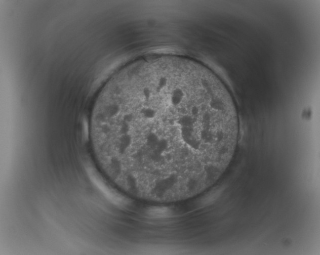 X0000112530061200909071408