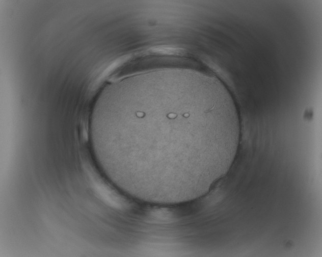 X0000112530062200909071408