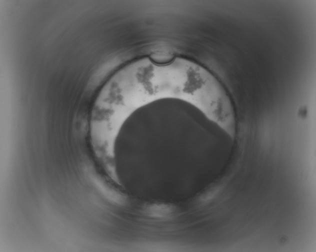 X0000112530063200909071408