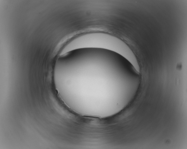 X0000112530064200909071408