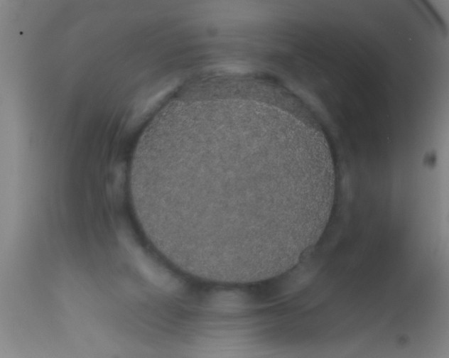 X0000112530066200909071408