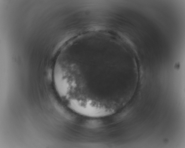 X0000112530067200909071408