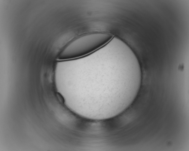 X0000112530068200909071408