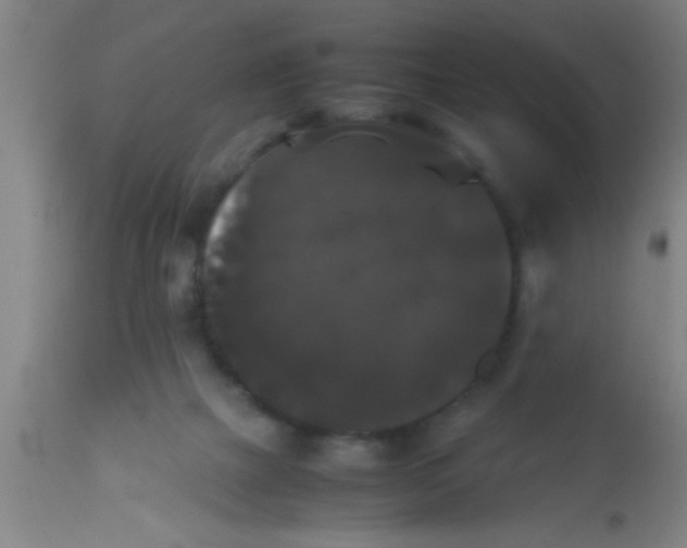 X0000112530073200909071408