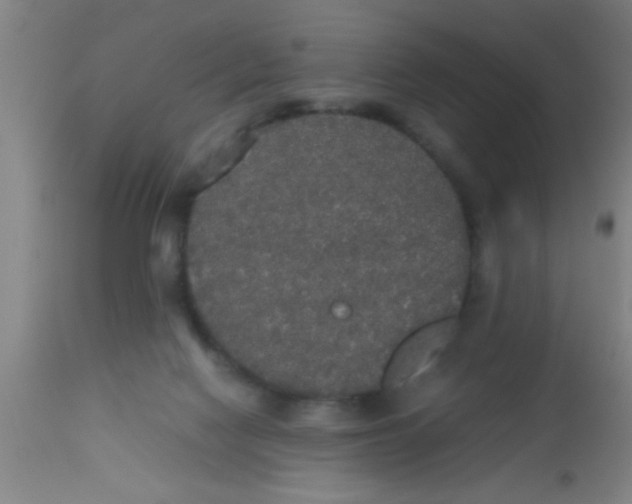 X0000112530074200909071408