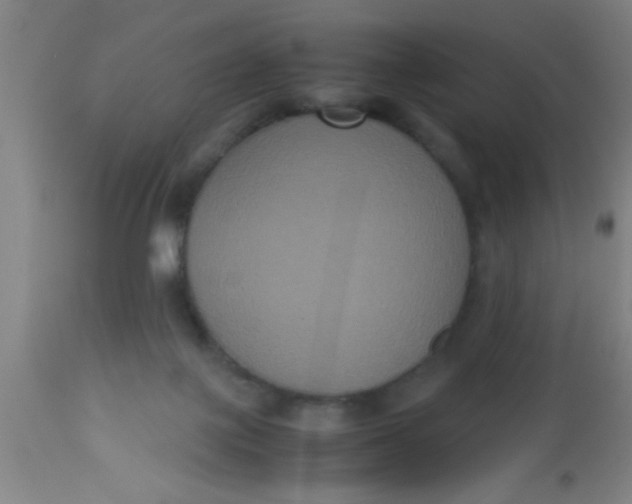 X0000112530075200909071408