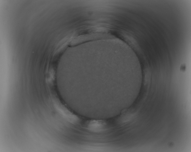 X0000112530077200909071408