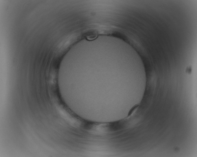 X0000112530078200909071408