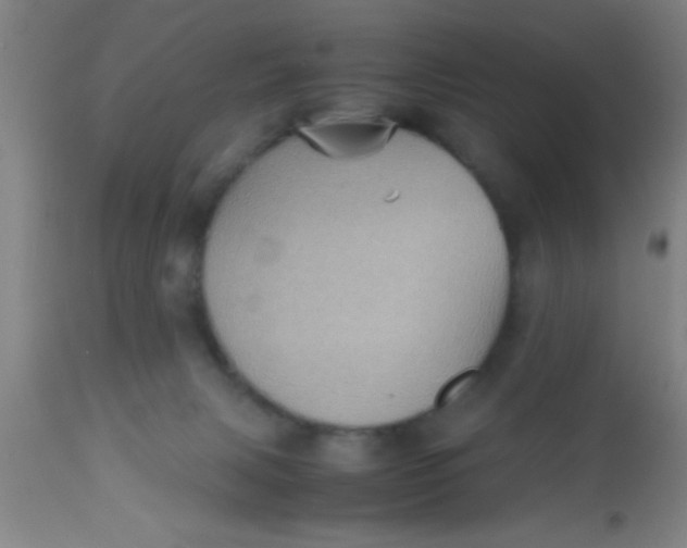 X0000112530079200909071408