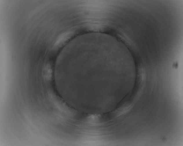 X0000112530080200909071408