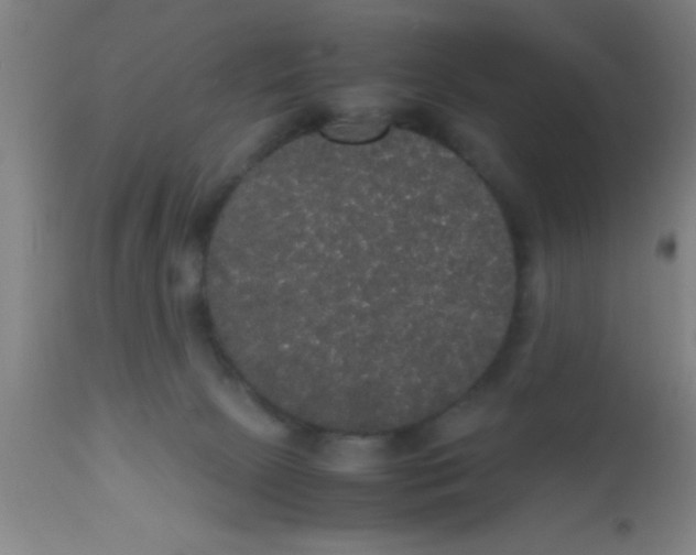 X0000112530081200909071408