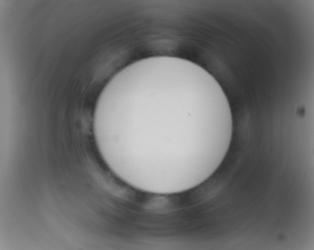 X0000112530083200909071408