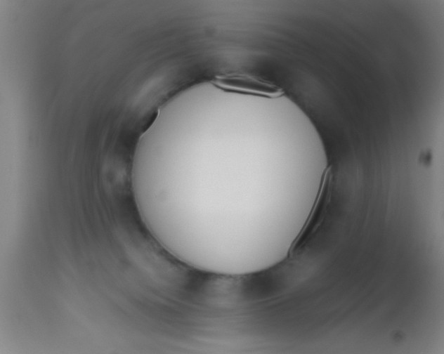 X0000112530084200909071408