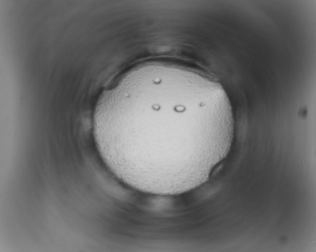 X0000112530085200909071408