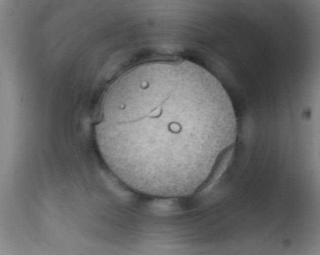 X0000112530086200909071408