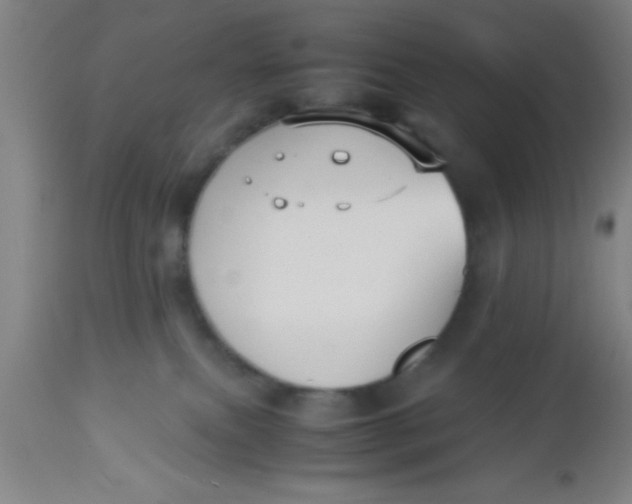 X0000112530087200909071408